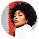 Profile avatar in the Xiphon website launch card